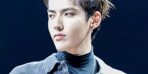 吴亦凡粉丝发文回击，反问杨紫粉丝十问内容逻辑严谨让人迷惑