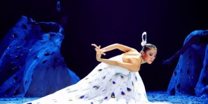 <?php the_title(); ?>