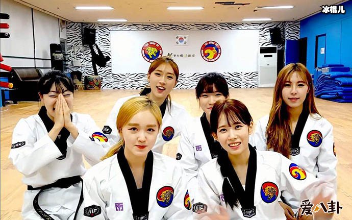 韩国虎队现况如何?为何每个成员都这么有个性揭秘