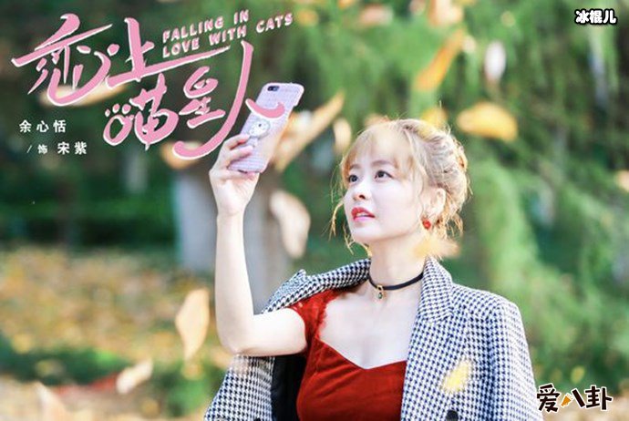 恋上喵星人电视剧剧情详解,大型撸猫现场网友称太诱人了