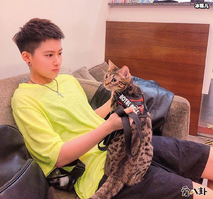 落跑甜心女主郑靓歆如今样子令网友直呼太惊人!