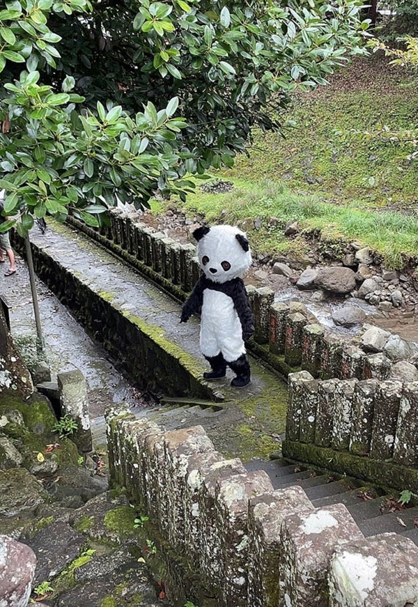 CSCT-042,さつき芽衣(沙月芽衣)、三尾めぐ(三尾惠)、天然美月最新合演作品2021/12/24发布!