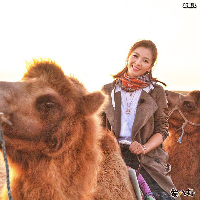 刘涛在沙漠骑骆驼照片 被网友说巾帼不让须眉的霓凰郡主本人