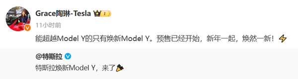 陶琳:能超越特斯拉Model Y的只有焕新版Model Y 陶琳:能超越特斯拉Model Y的只有焕新版Model Y