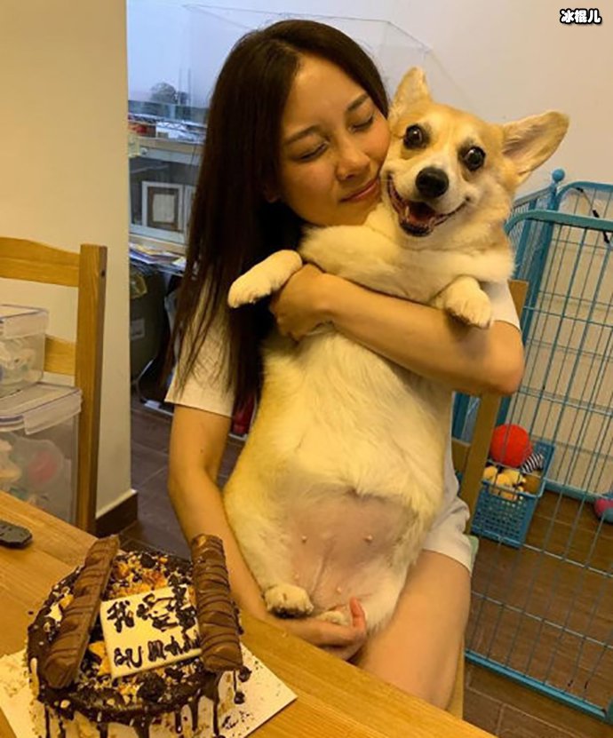 张致恒塔房是怎么回事?其未婚妻如何回应!