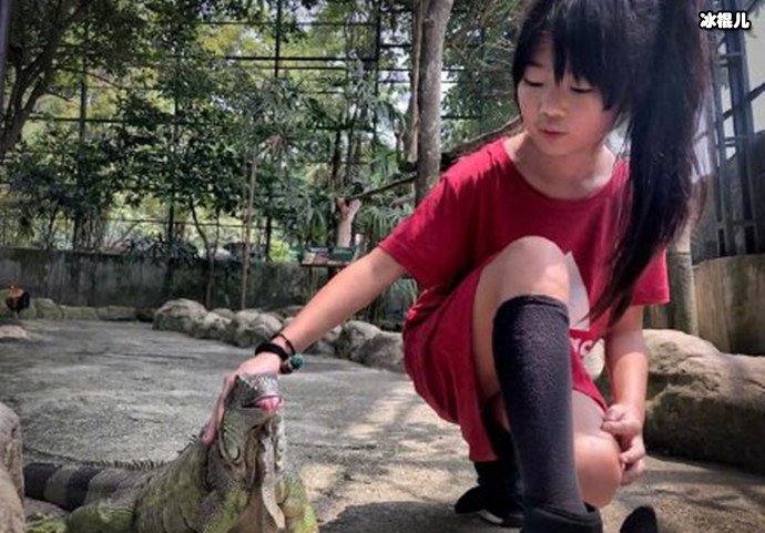 曹格女儿姐姐如今长什么样?让网友惊呼女大十八变