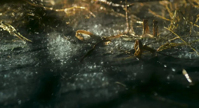 重映破3000万!王家卫藏了25年的片段有何魔力?