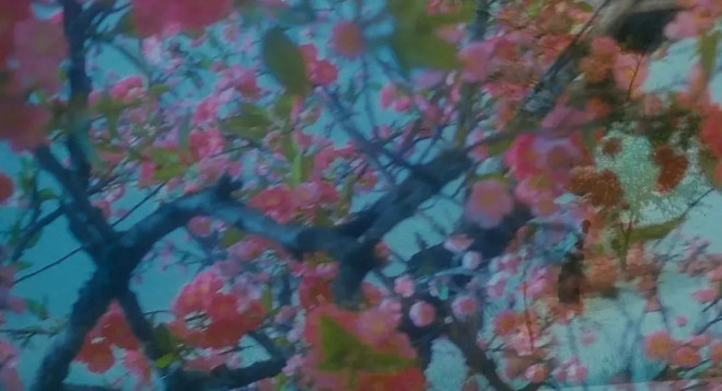 重映破3000万!王家卫藏了25年的片段有何魔力?