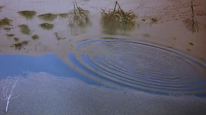 重映破3000万!王家卫藏了25年的片段有何魔力?