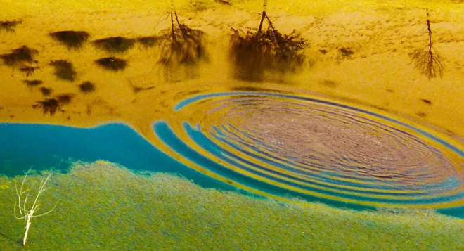 重映破3000万!王家卫藏了25年的片段有何魔力?