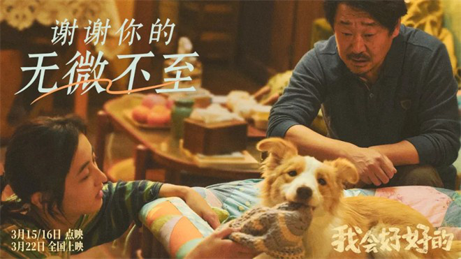 和猫猫狗狗一起在电影院看电影,你愿意吗?