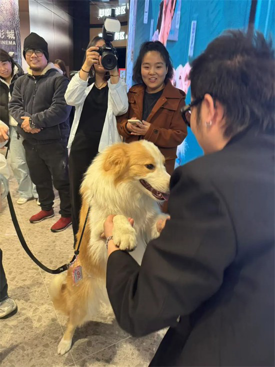 和猫猫狗狗一起在电影院看电影,你愿意吗?