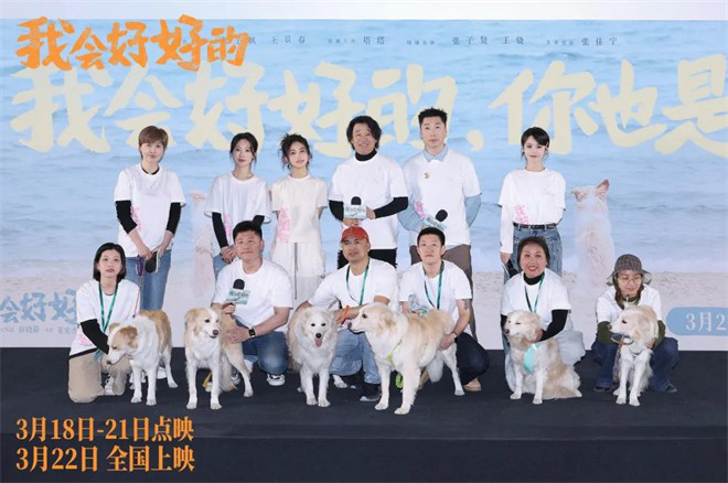 和猫猫狗狗一起在电影院看电影,你愿意吗?