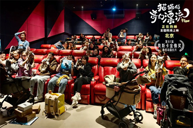 和猫猫狗狗一起在电影院看电影,你愿意吗?