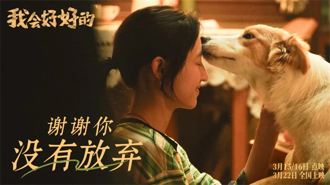 和猫猫狗狗一起在电影院看电影,你愿意吗?