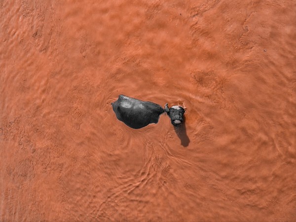 年度十佳图片《Mud bath bliss.》AB Gusai DJI大疆天空之城10周年影像大赛获奖作品公布