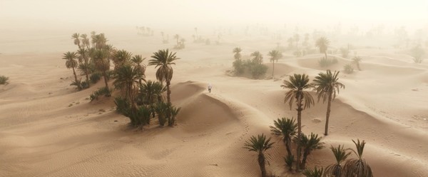 年度十佳视频《We were meant to fly》danieltremsky DJI大疆天空之城10周年影像大赛获奖作品公布