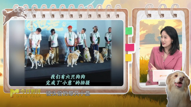 《我会好好的》:张子枫体验生命告别的“必修课”