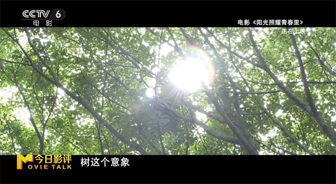 如果全世界都觉得你“有病” 你会如何自证清白?