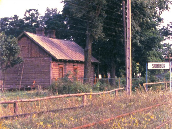 第15届北影节展映|电影与和平:光影铭刻战争之殇