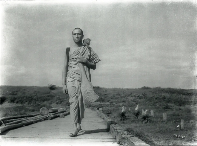 第15届北影节展映|电影与和平:光影铭刻战争之殇