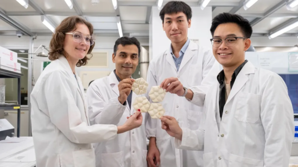 工程师模仿大象皮肤发明新型冷却砖 可以代替空调? 工程师模仿大象皮肤发明新型冷却砖 可以代替空调?