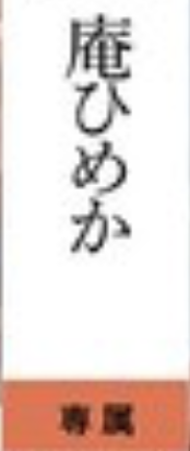 庵ひめか(庵姬花)作品OFES-011发布!因为胸部太大了⋯所以L罩杯的她被按摩师玩弄了!