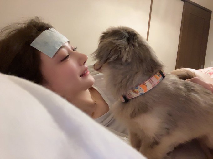 八蜜凛出道作品番号及封面,八蜜凛个人简介