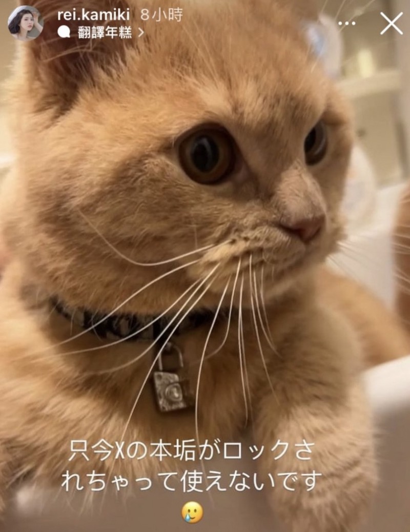 twitter找不到了!神木丽出什么事了?