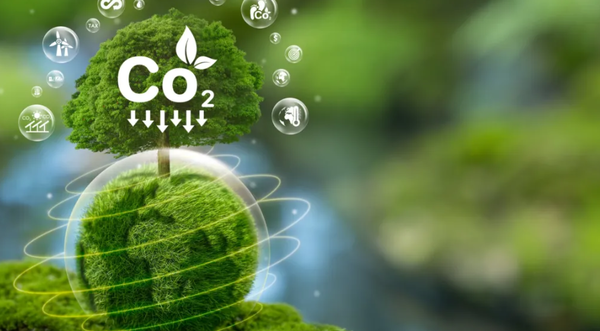 科学家研发“活体材料” 可高效吸收空气中的二氧化碳 科学家研发“活体材料” 可高效吸收空气中的二氧化碳