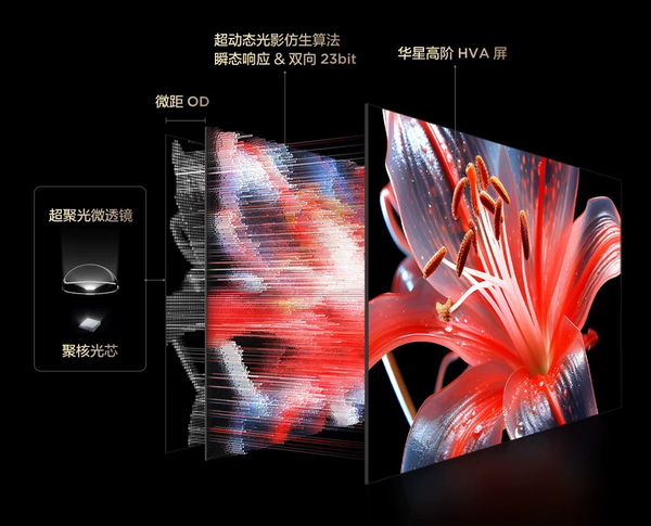 当TCL遇上女篮亚洲杯,“全球第一” 背后藏着多少绝杀狠招? 当TCL遇上女篮亚洲杯,“全球第一” 背后藏着多少绝杀狠招?