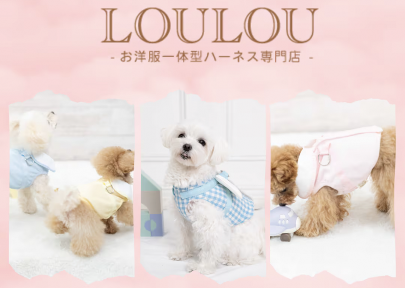 自己写企划自己跑案子⋯小島みなみ(小岛南)创业当社长了!