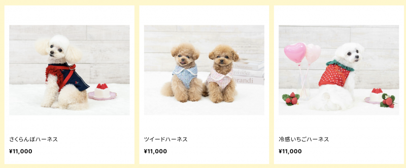 自己写企划自己跑案子⋯小島みなみ(小岛南)创业当社长了!