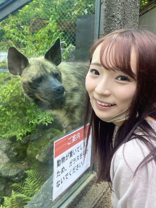 雅子里菜(雅子りな)出道作品番号及封面,雅子里菜个人简介