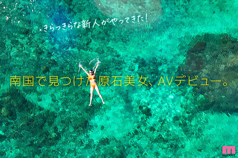 七海那美出道作品番号及封面,七海那美个人简介