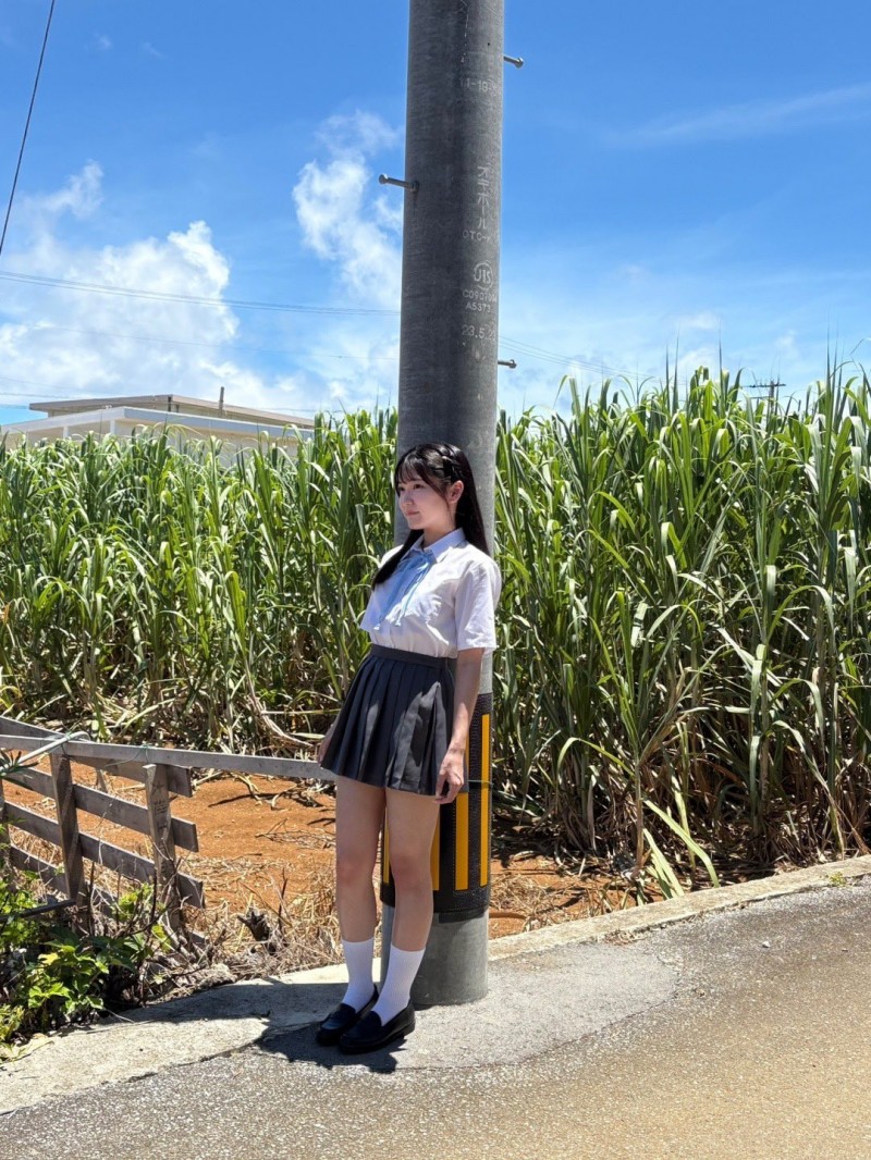 8月12日情报解禁!S1的新大物亮相!