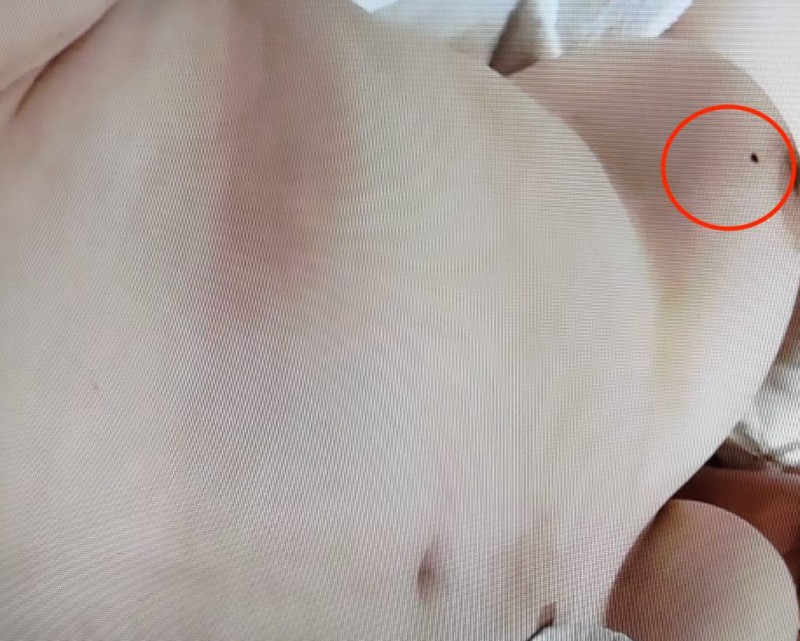 桃果あかり(桃果明里)出道作品SSIS-732发布!绝对的美女!无敌I罩杯!S1的强力新秀竟然一堆类无码片!?