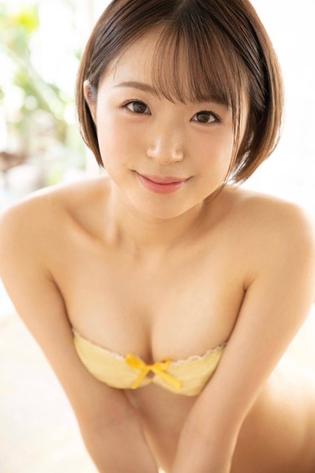 菊池春(菊池はる)出道作品番号及封面,菊池春个人简介