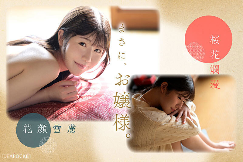 IPZZ-731,坂井美桜(坂井美樱)最新作品2025/11/10发布!