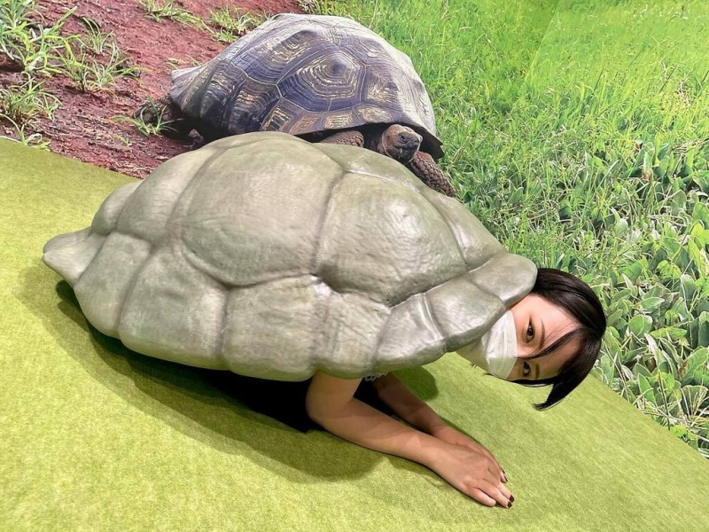 剪短了头发、百万社那位绝地武士回归了!